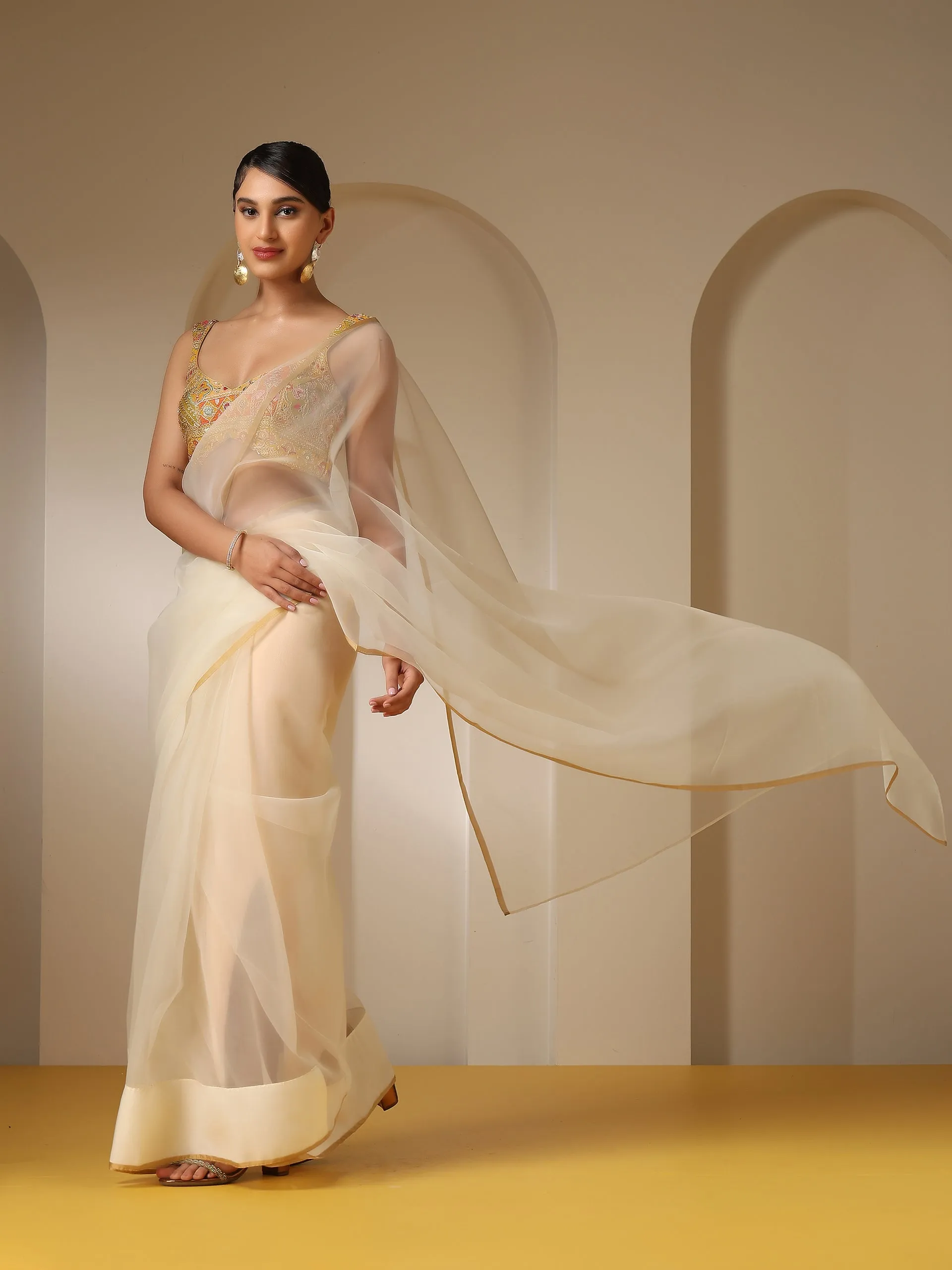 Morning Dew Organza Cloud Saree