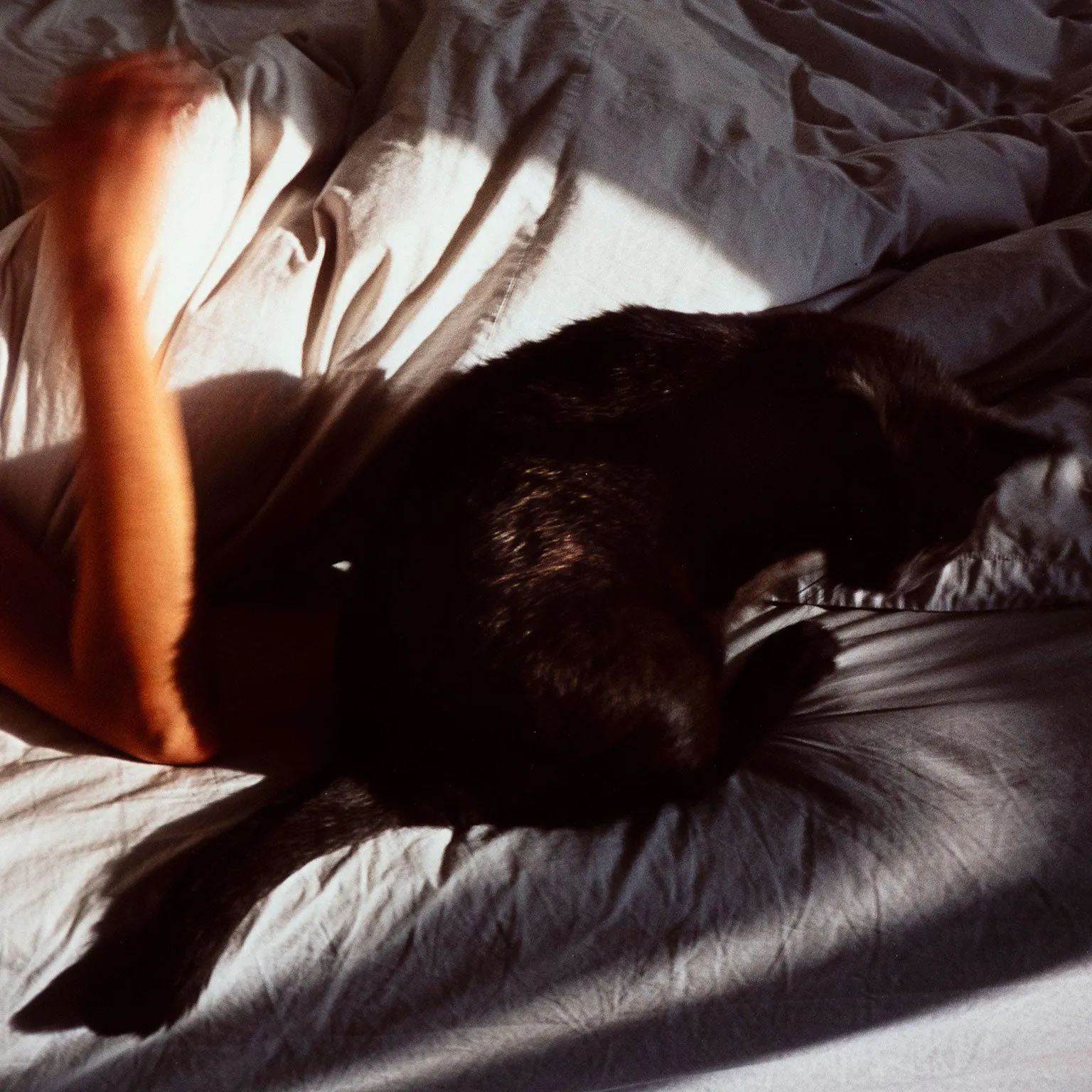NAN GOLDIN "SIOBHAN WITH CAT, NEW YORK" 1993