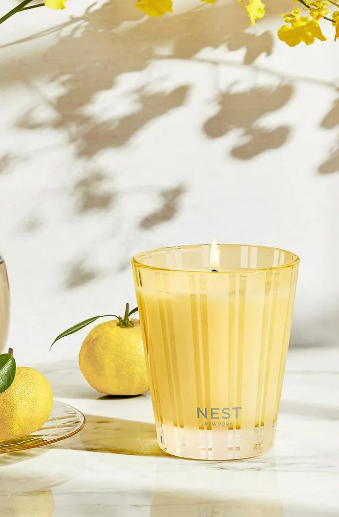 NEST SUNLIT YUZU & NEROLI 8.1OZ SINGLE WICK CANDLE