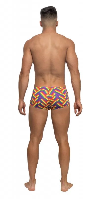 Pride Fest - Mini Short - Medium - Print