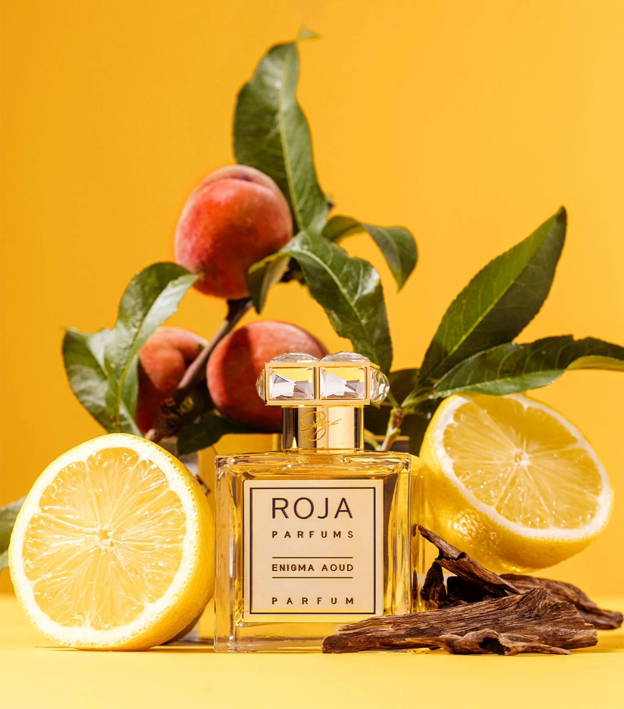 Roja Enigma Aoud Parfum 100 ml