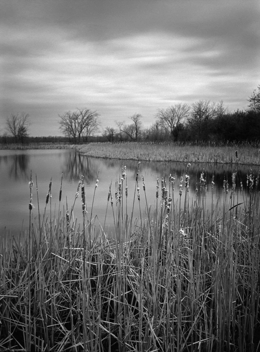 Rollei Retro 80S - 35mm Film