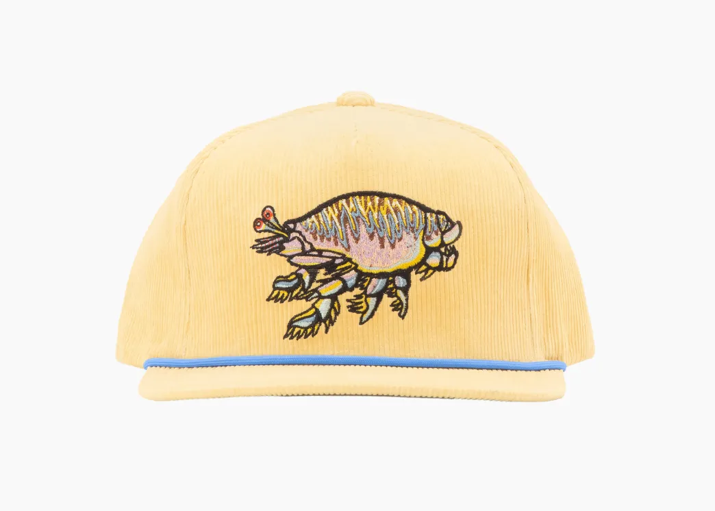 Sand Flea - Flat Brim Corduroy Hat