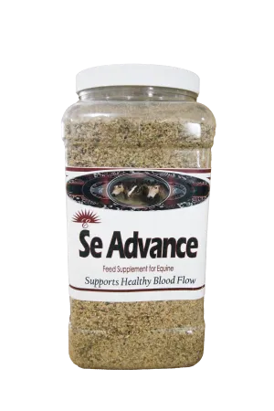 SE Advance