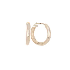 Small Gold Hoops