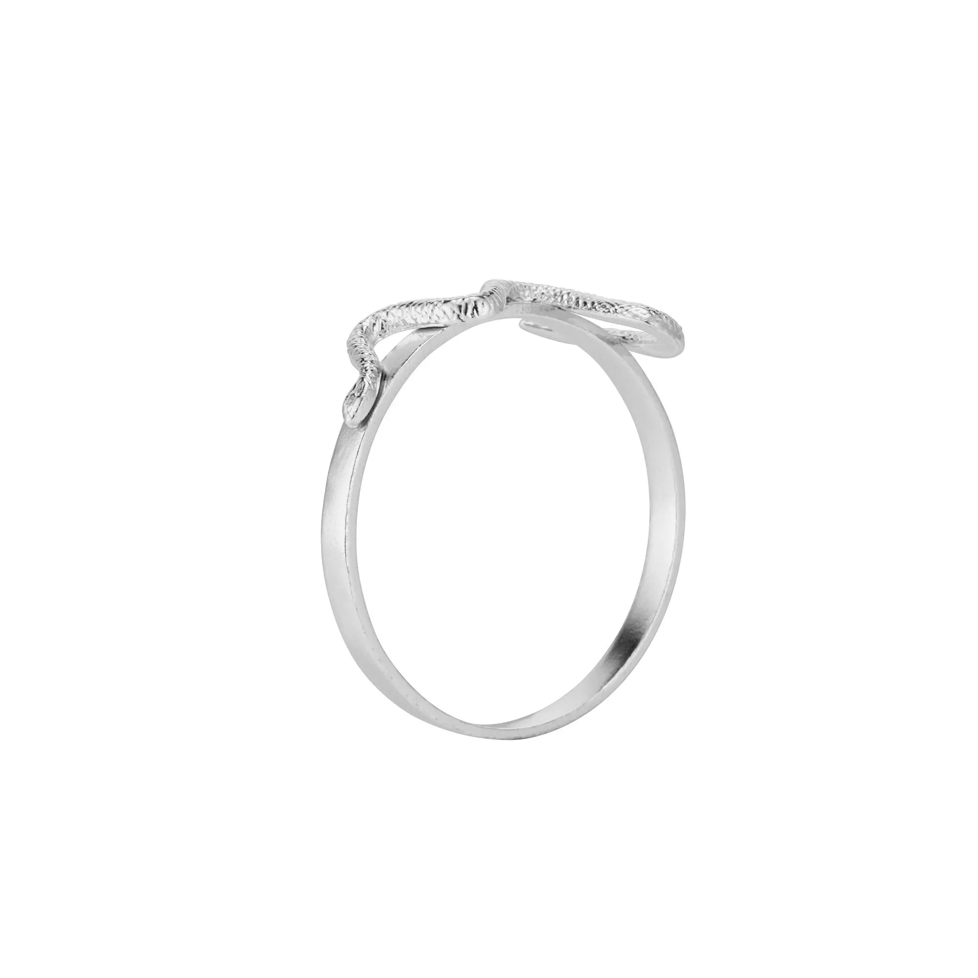 Snake Napkin Ring