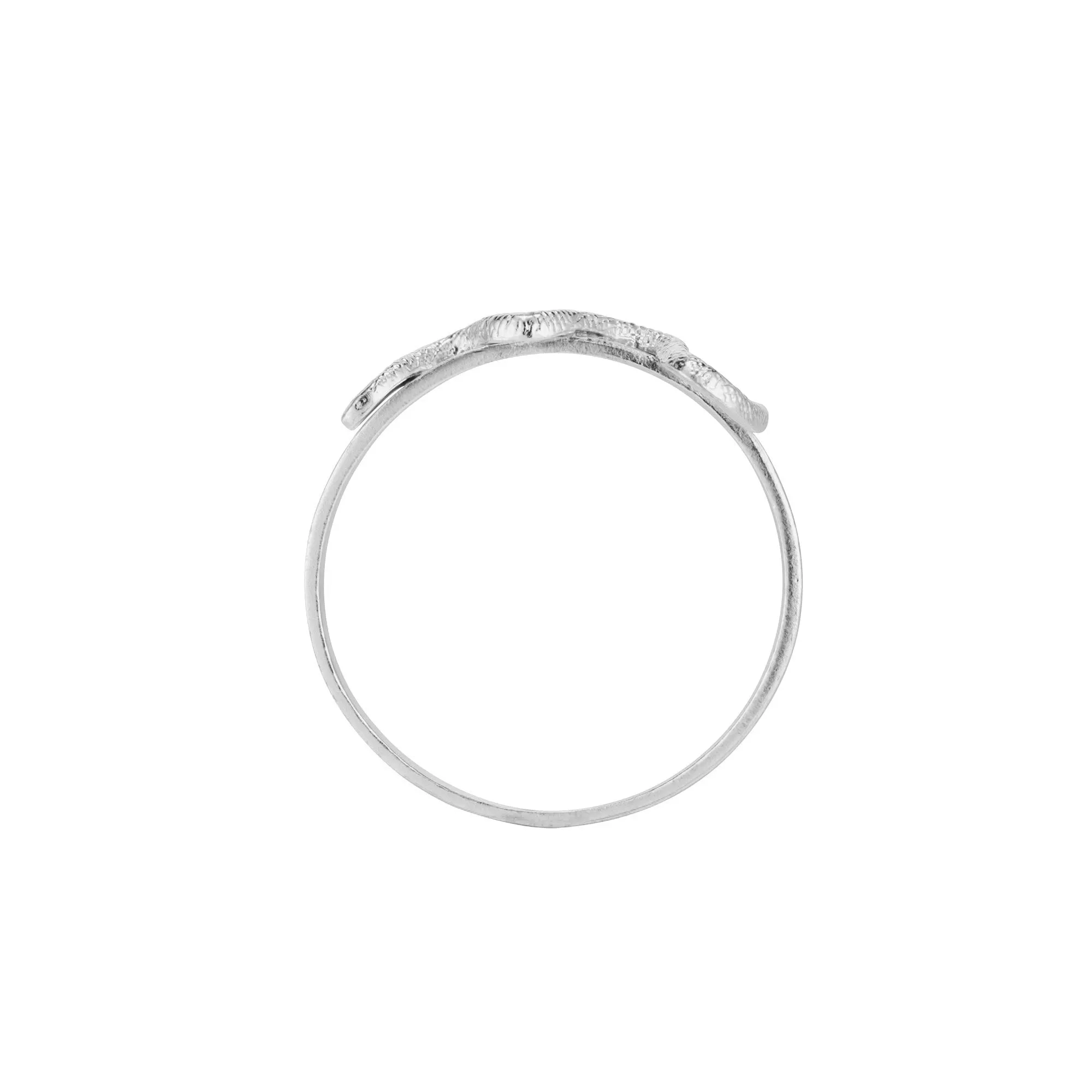Snake Napkin Ring