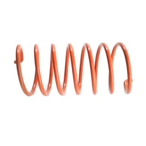 SUZUKI/ARCTIC CAT Secondary Springs