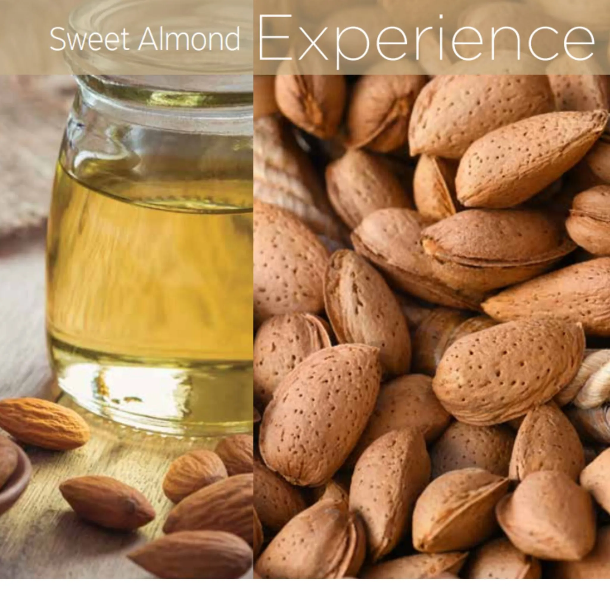 Sweet Almond Cuticle Oil 1/2oz
