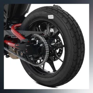 Tail Tidy Indian FTR1200 19- Small Plate Version R&G (LP0278BK)
