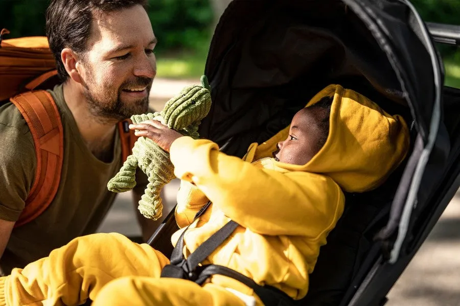 Thule Coche Urban Glide | Green